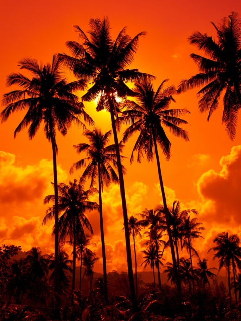 Sunset Thailand screenshot #1 480x640