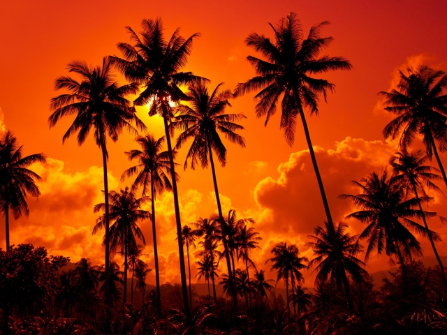 Sunset Thailand wallpaper 640x480