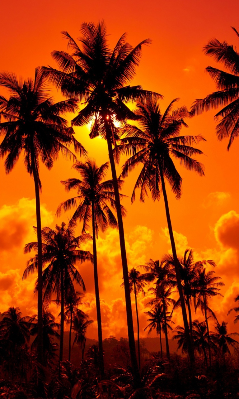 Sunset Thailand screenshot #1 768x1280