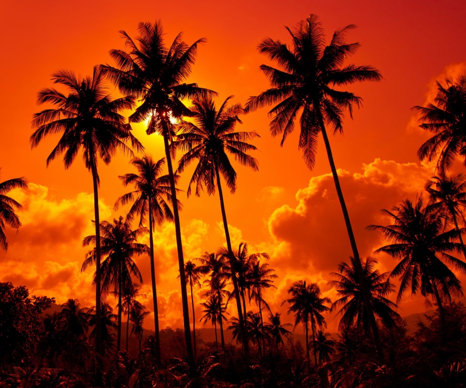 Sunset Thailand screenshot #1 960x800