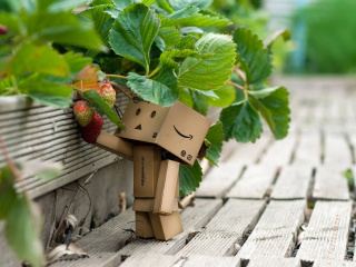 Amazons Mascot Danbo wallpaper 320x240