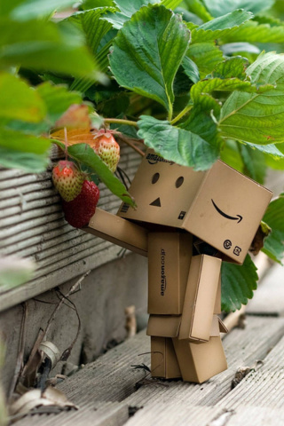 Sfondi Amazons Mascot Danbo 320x480