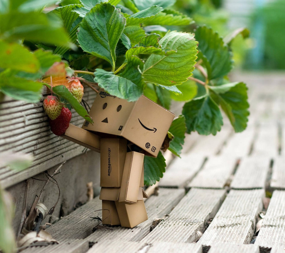 Das Amazons Mascot Danbo Wallpaper 960x854