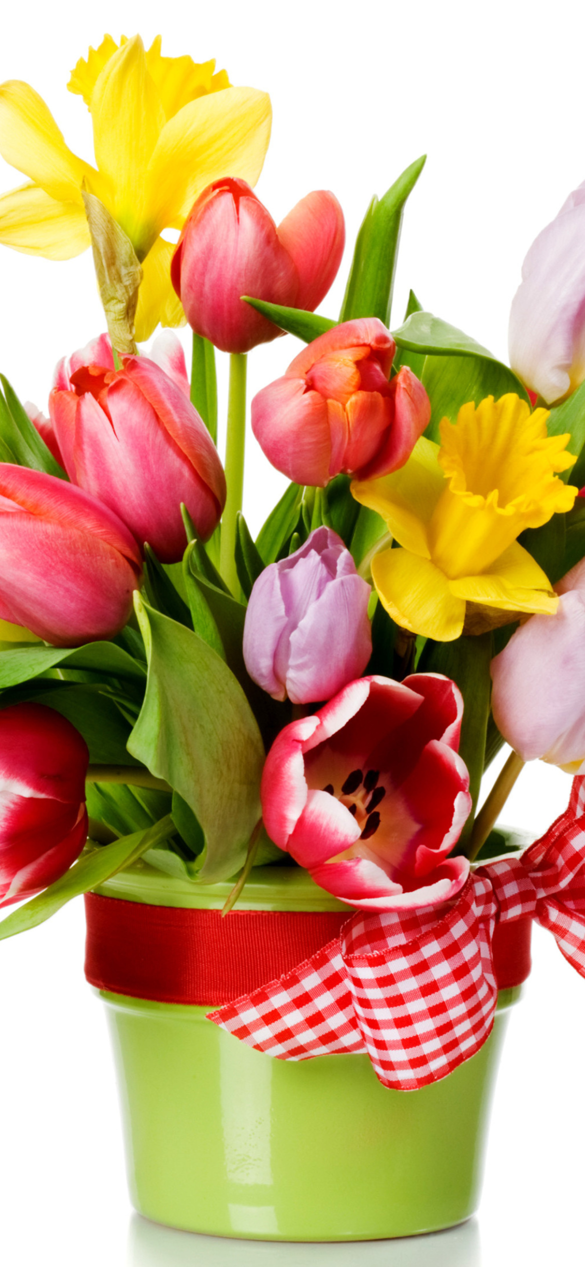 Sfondi Fresh Spring Bouquet 1170x2532