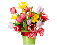 Sfondi Fresh Spring Bouquet 220x176