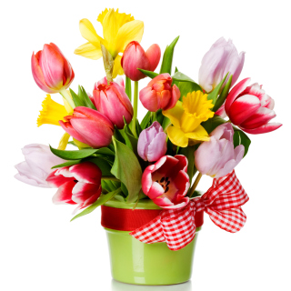 Fresh Spring Bouquet sfondi gratuiti per 1024x1024