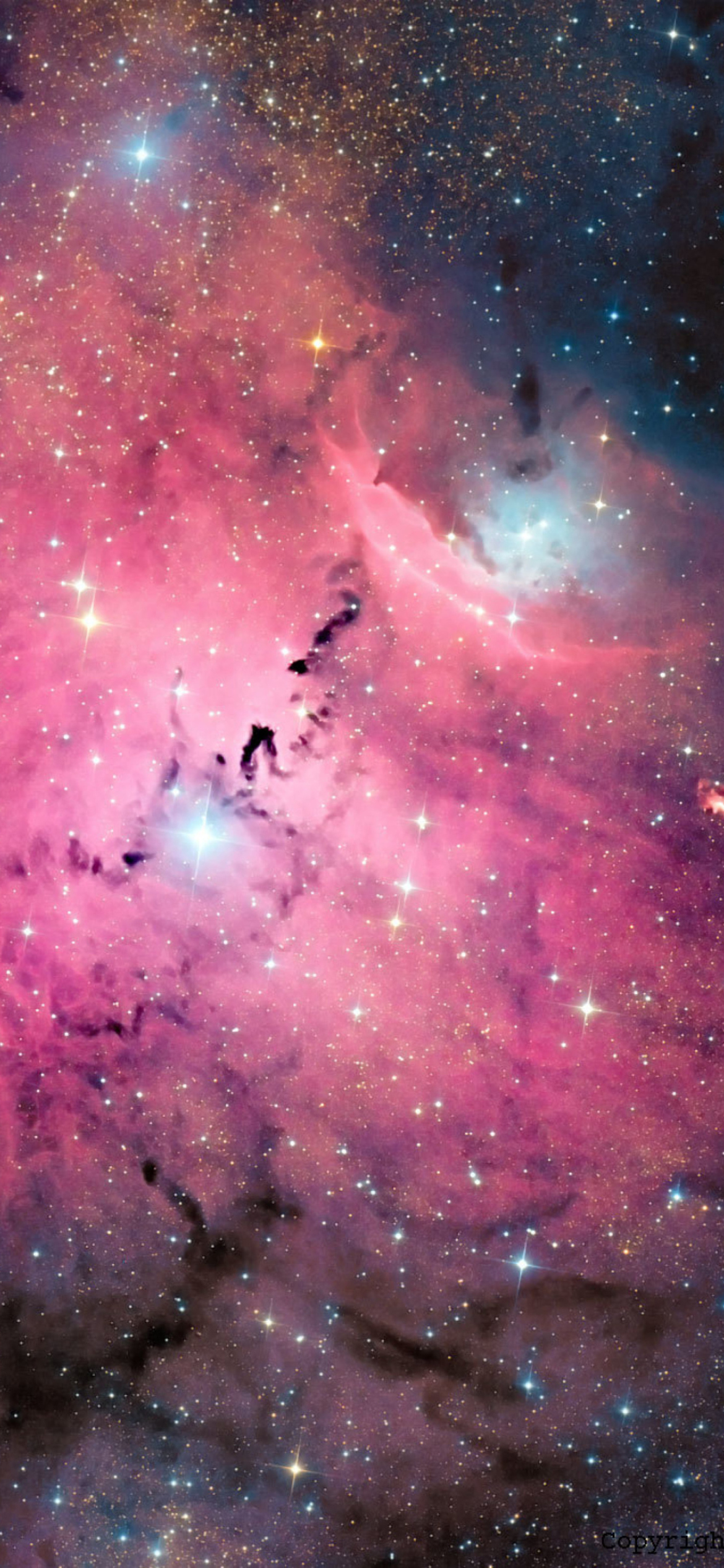 Sfondi Pink Space Dust 1170x2532