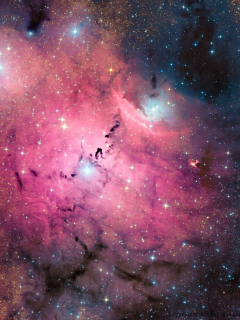 Pink Space Dust wallpaper 240x320