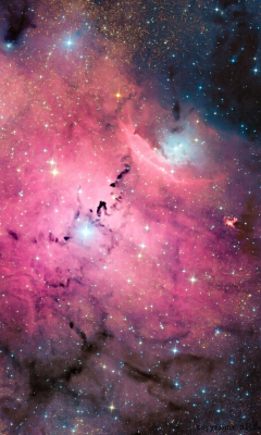 Das Pink Space Dust Wallpaper 240x400