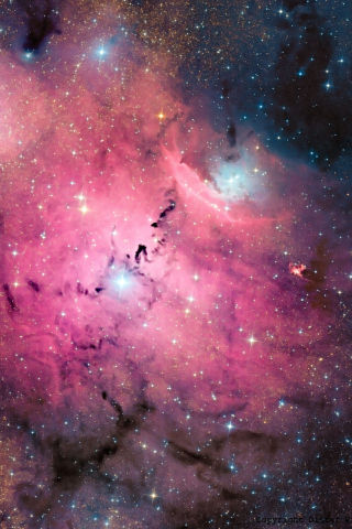 Das Pink Space Dust Wallpaper 320x480