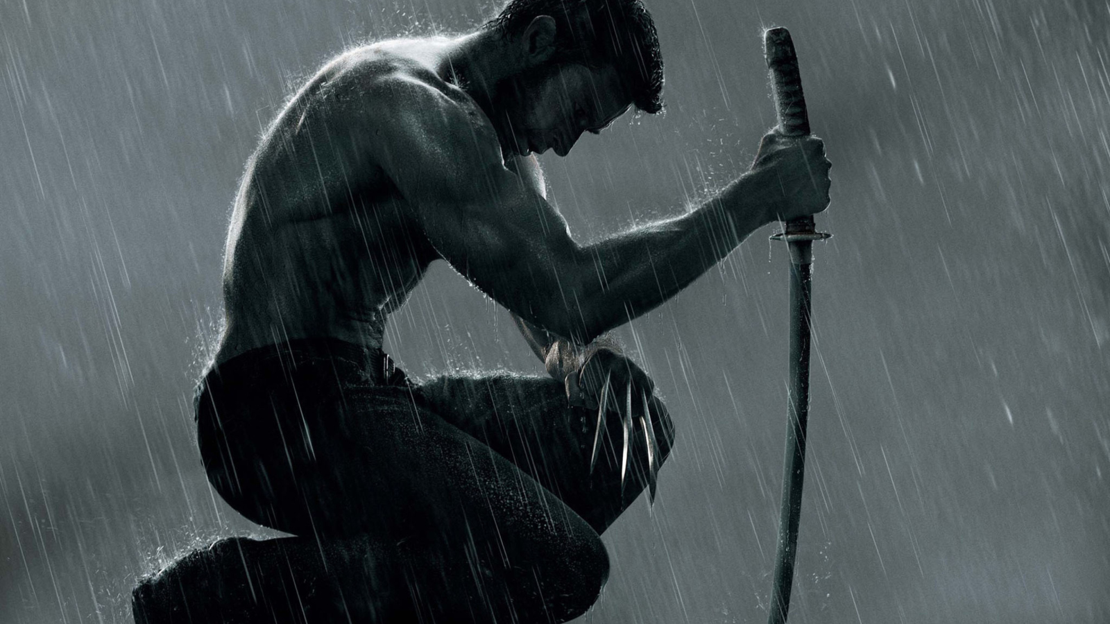 Das The Wolverine Movie 2013 Wallpaper 1600x900