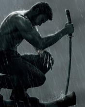 Screenshot №1 pro téma The Wolverine Movie 2013 176x220