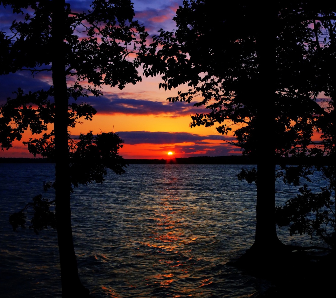 Fondo de pantalla Sunset Between Trees 1080x960