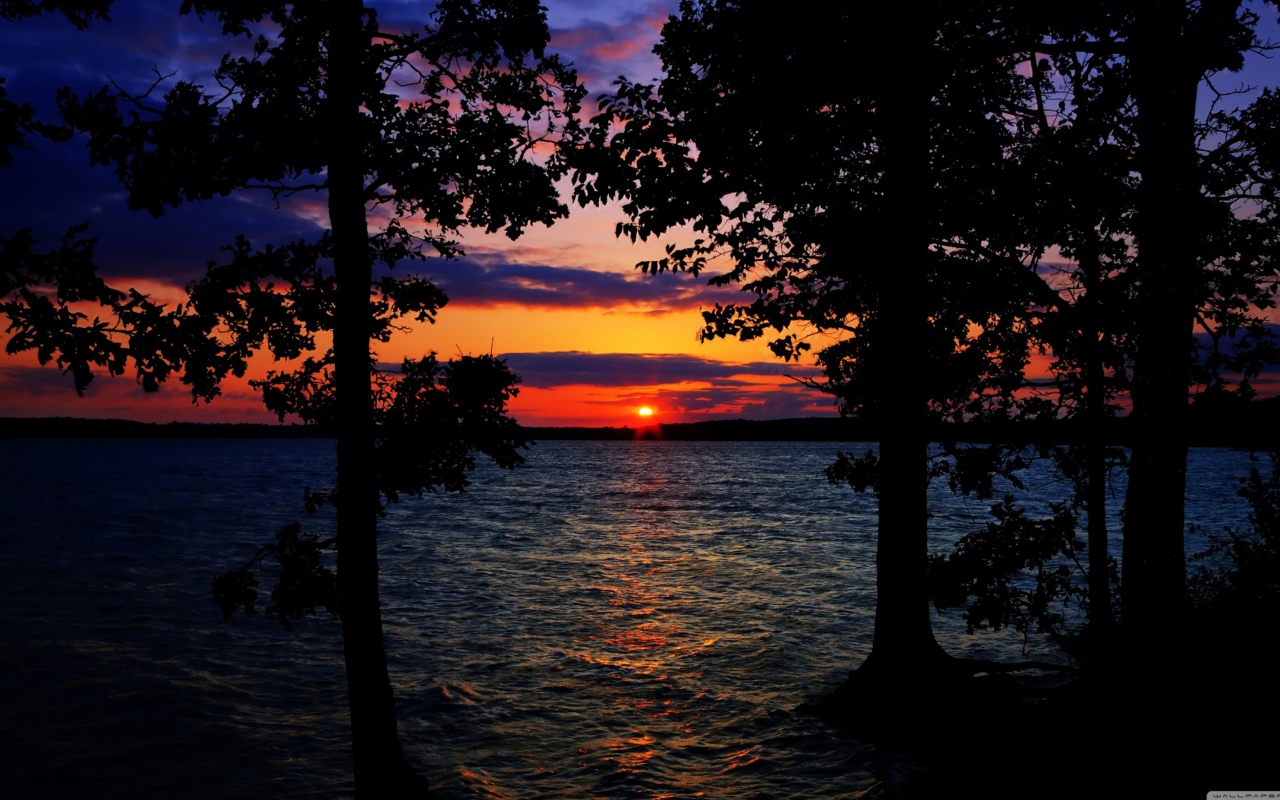 Sunset Between Trees screenshot #1 1280x800