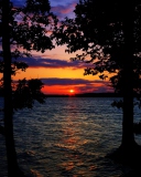 Das Sunset Between Trees Wallpaper 128x160