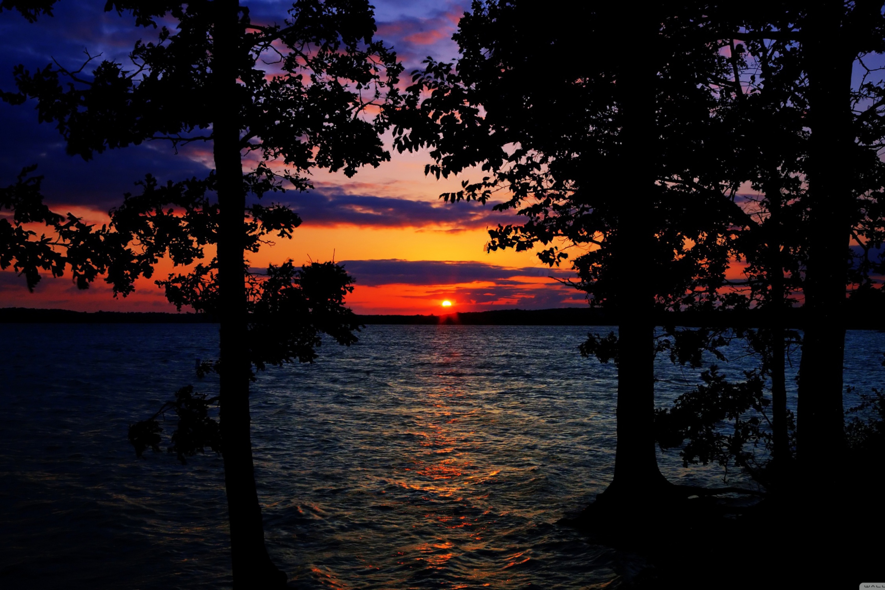 Sunset Between Trees screenshot #1 2880x1920