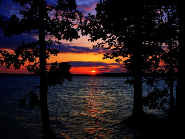 Sunset Between Trees screenshot #1 640x480