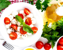 Salat, basil, parsley, mozzarella, tomatoes wallpaper 220x176