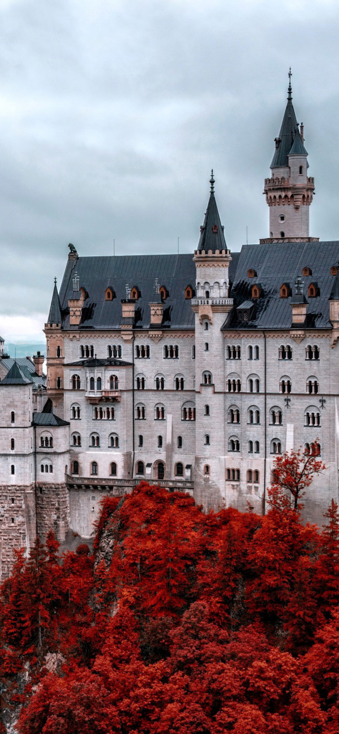 Neuschwanstein Castle in Fall screenshot #1 1170x2532