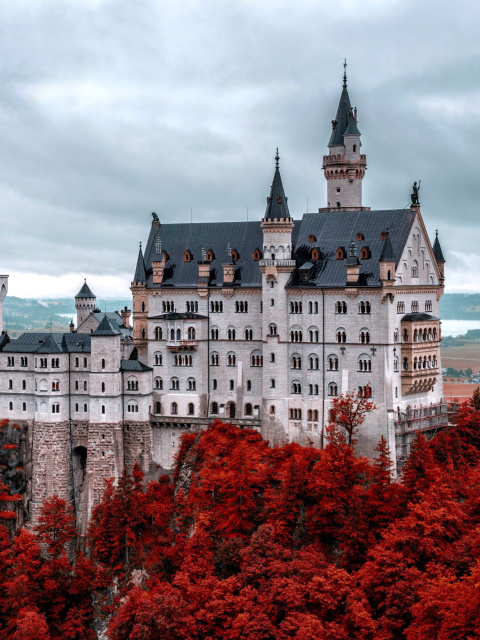 Neuschwanstein Castle in Fall screenshot #1 480x640