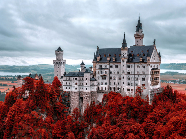 Neuschwanstein Castle in Fall wallpaper 640x480