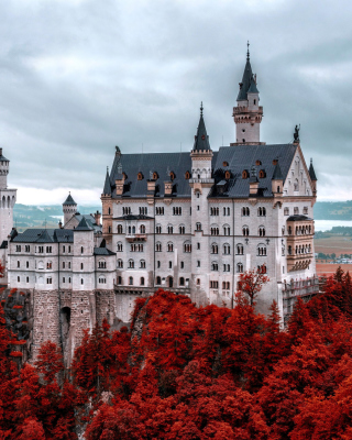 Free Neuschwanstein Castle in Fall Picture for 240x320