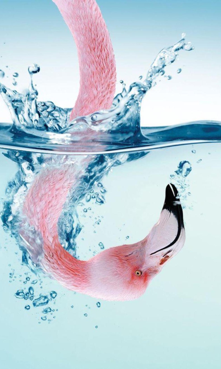 Sfondi Flamingo Underwater 768x1280