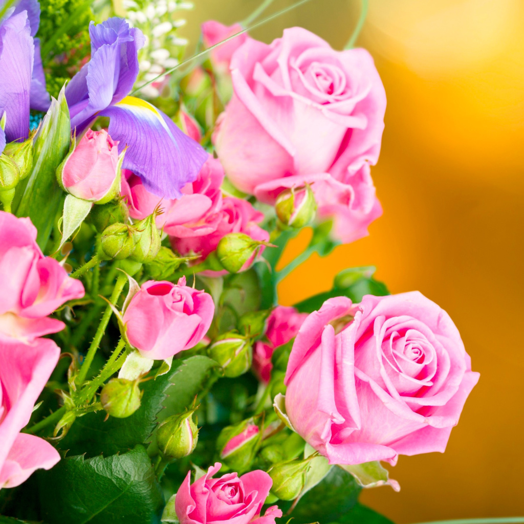 Fondo de pantalla Spring bouquet of roses 1024x1024