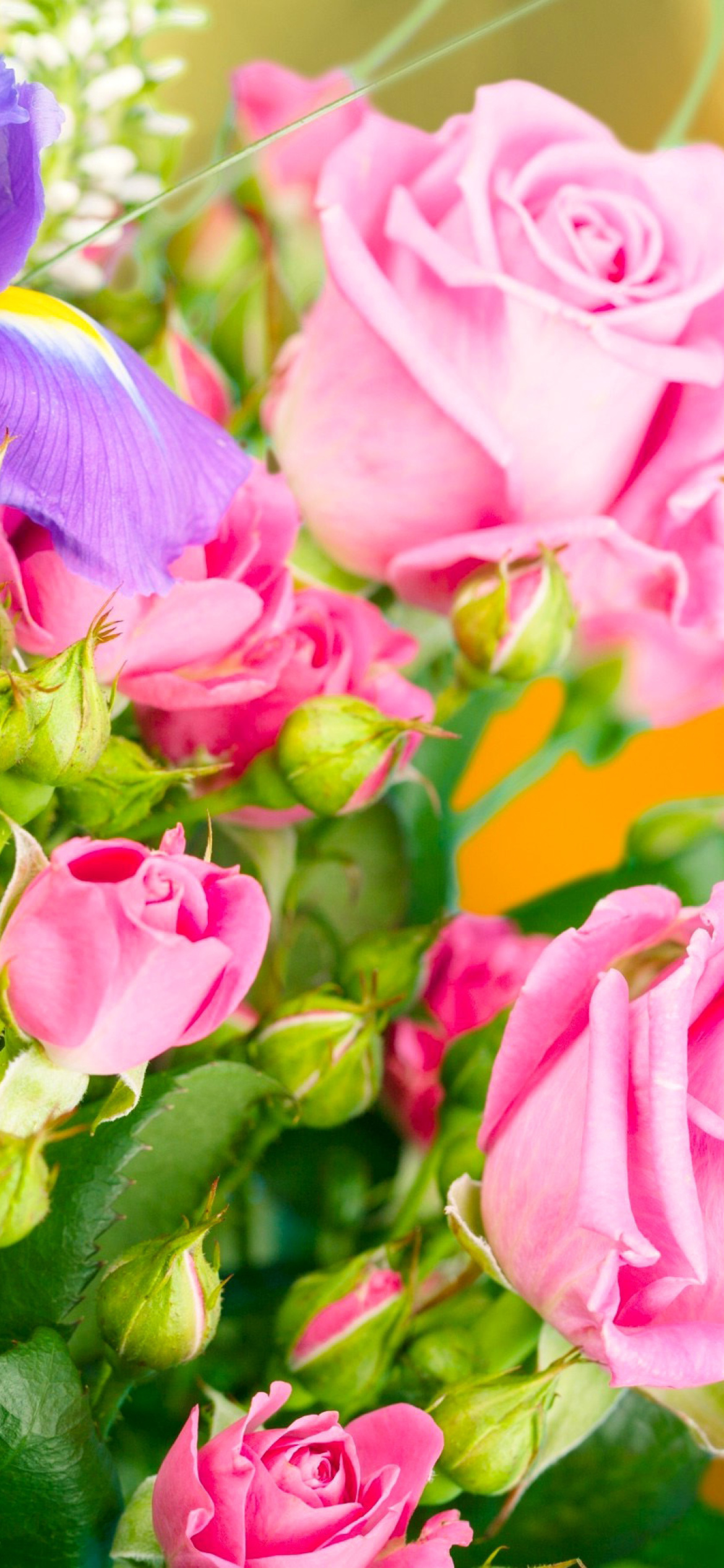 Spring bouquet of roses wallpaper 1170x2532