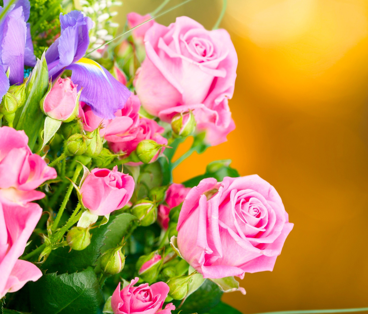 Fondo de pantalla Spring bouquet of roses 1200x1024