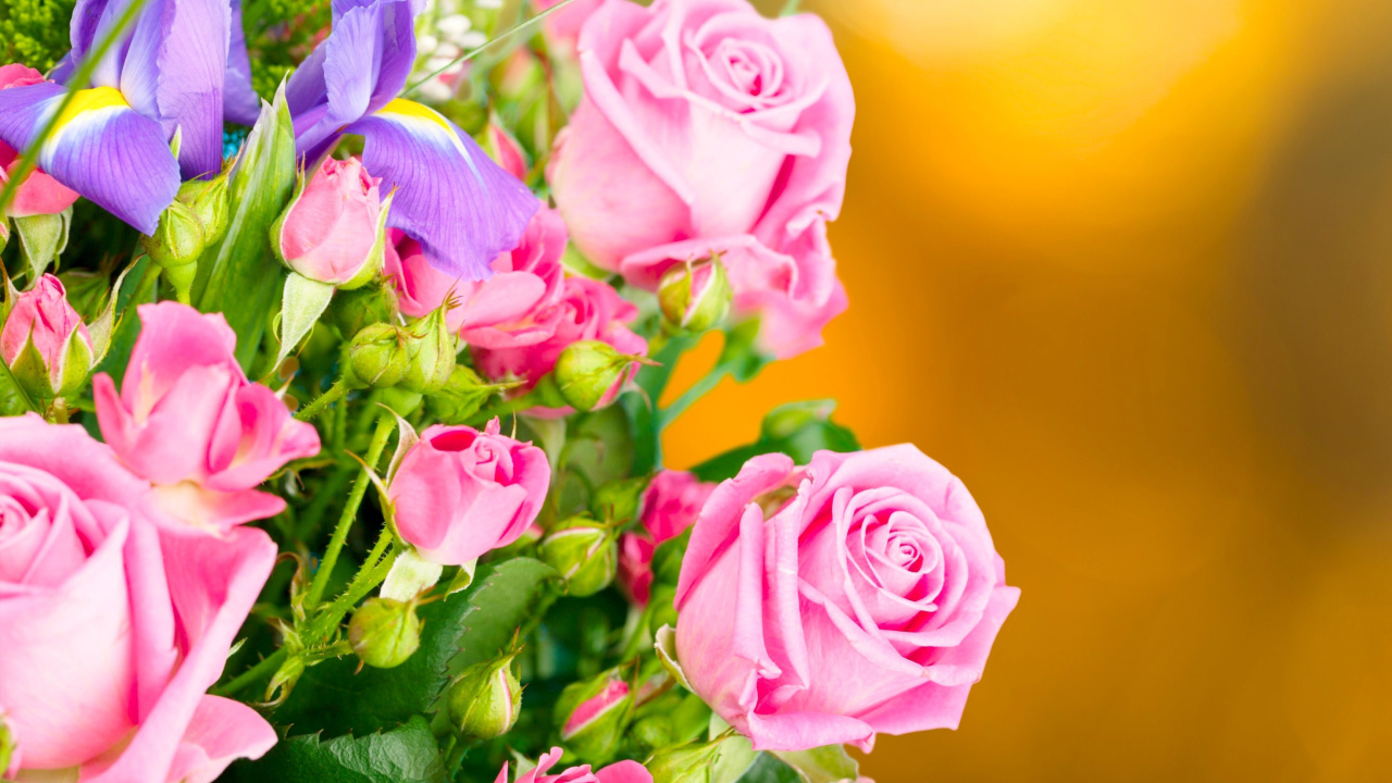 Spring bouquet of roses wallpaper 1280x720