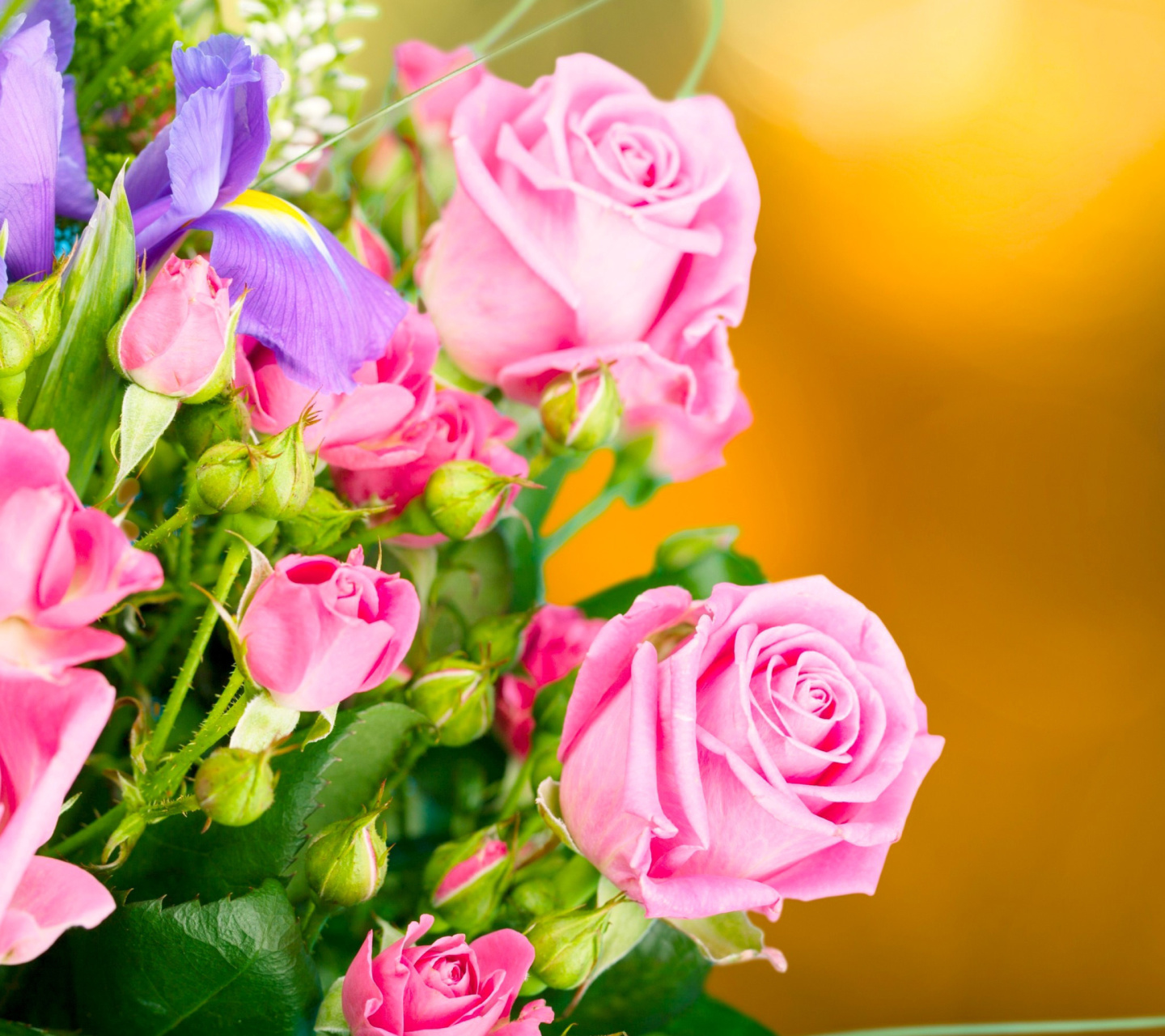 Spring bouquet of roses wallpaper 1440x1280