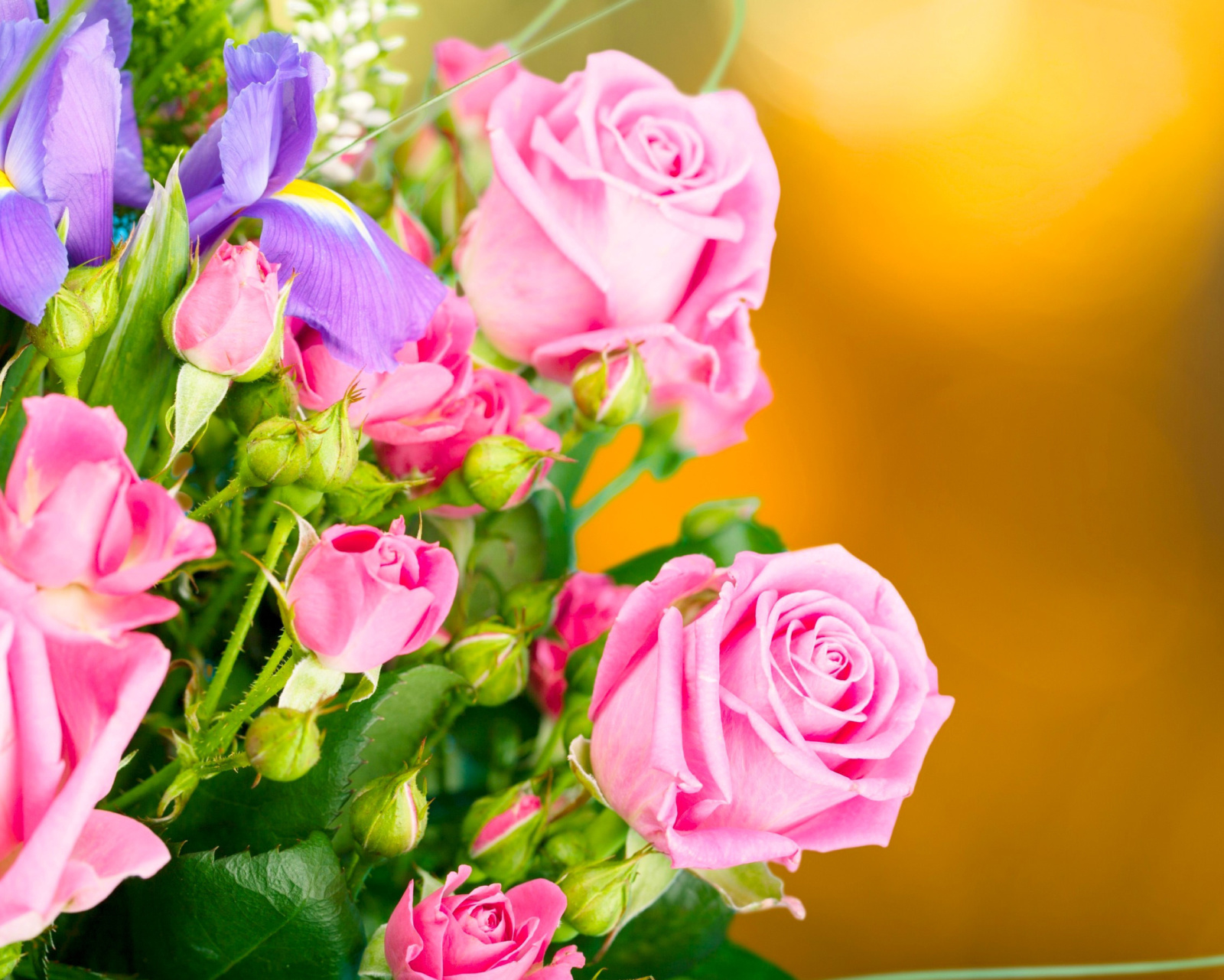 Spring bouquet of roses wallpaper 1600x1280