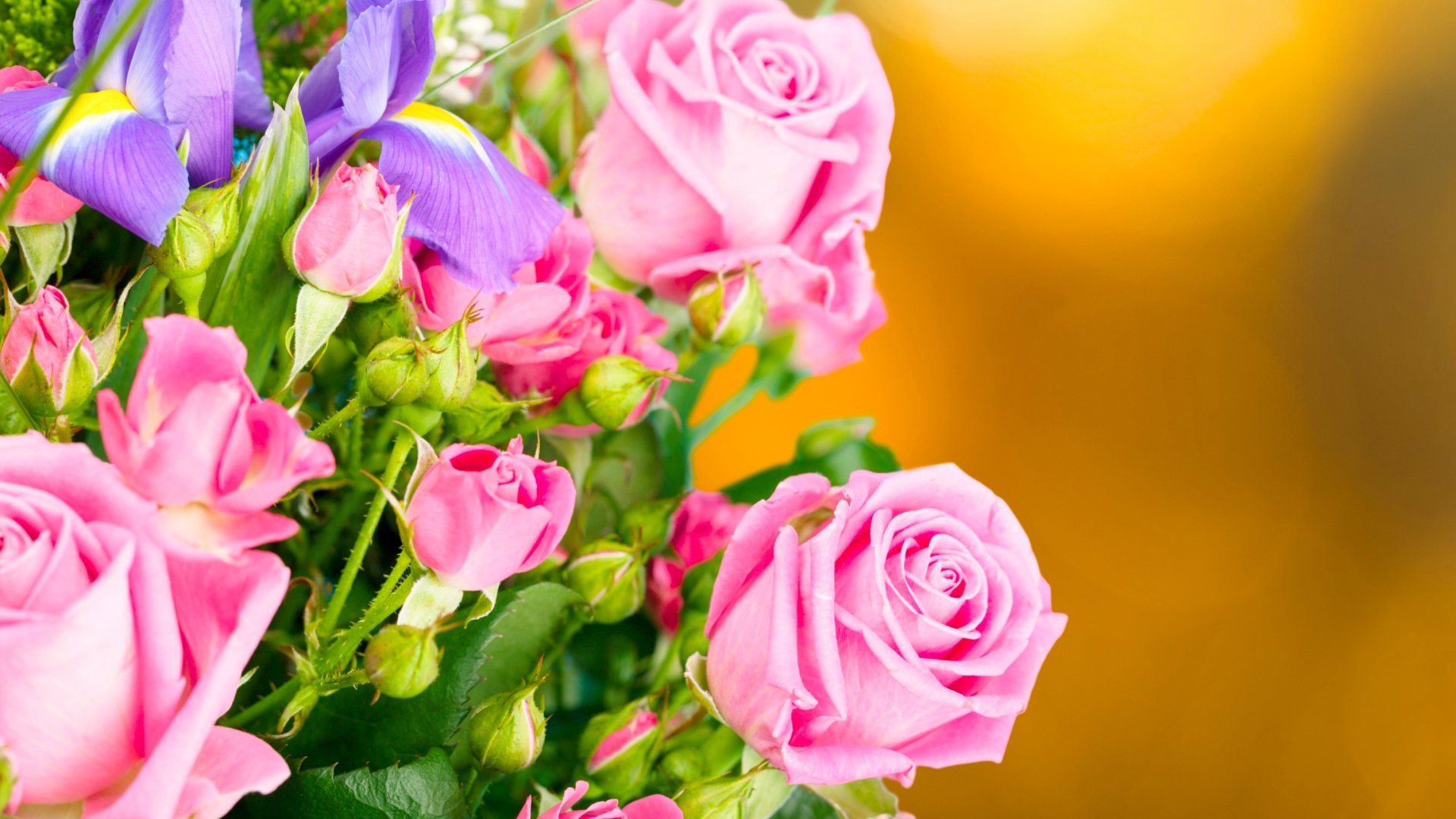 Das Spring bouquet of roses Wallpaper 1920x1080