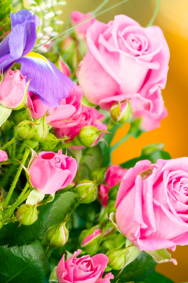 Spring bouquet of roses wallpaper 640x960
