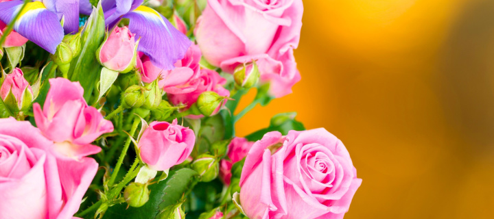 Spring bouquet of roses wallpaper 720x320