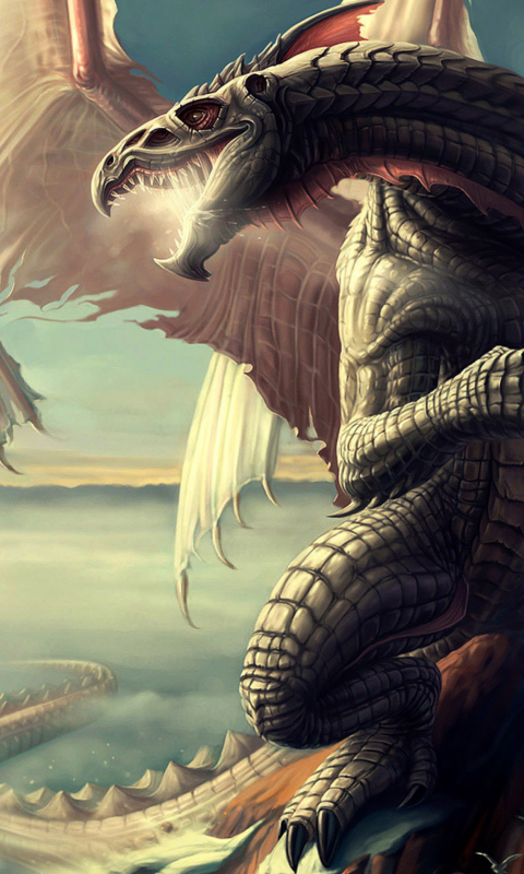 Das Fantasy Dragon Art Wallpaper 480x800