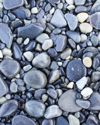 Pebble beach - Obrázkek zdarma pro 128x160