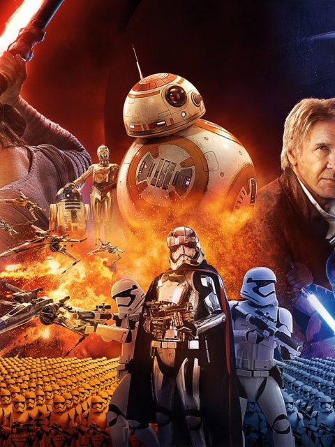 Fondo de pantalla Star wars the Awakening forces Poster 480x640