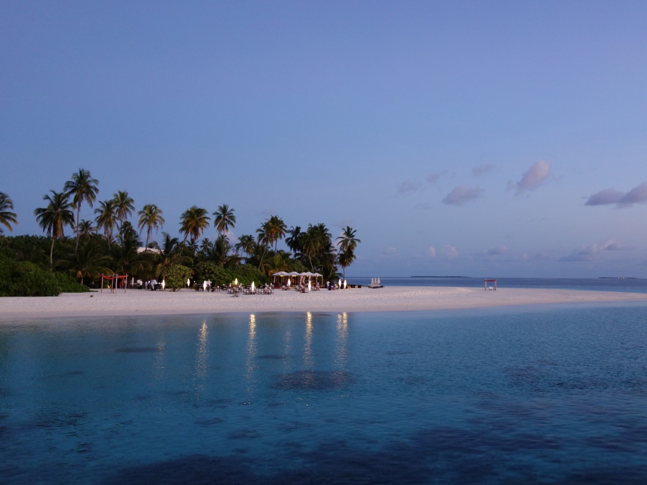 Fondo de pantalla Tropic Tree Hotel Maldives 1280x960