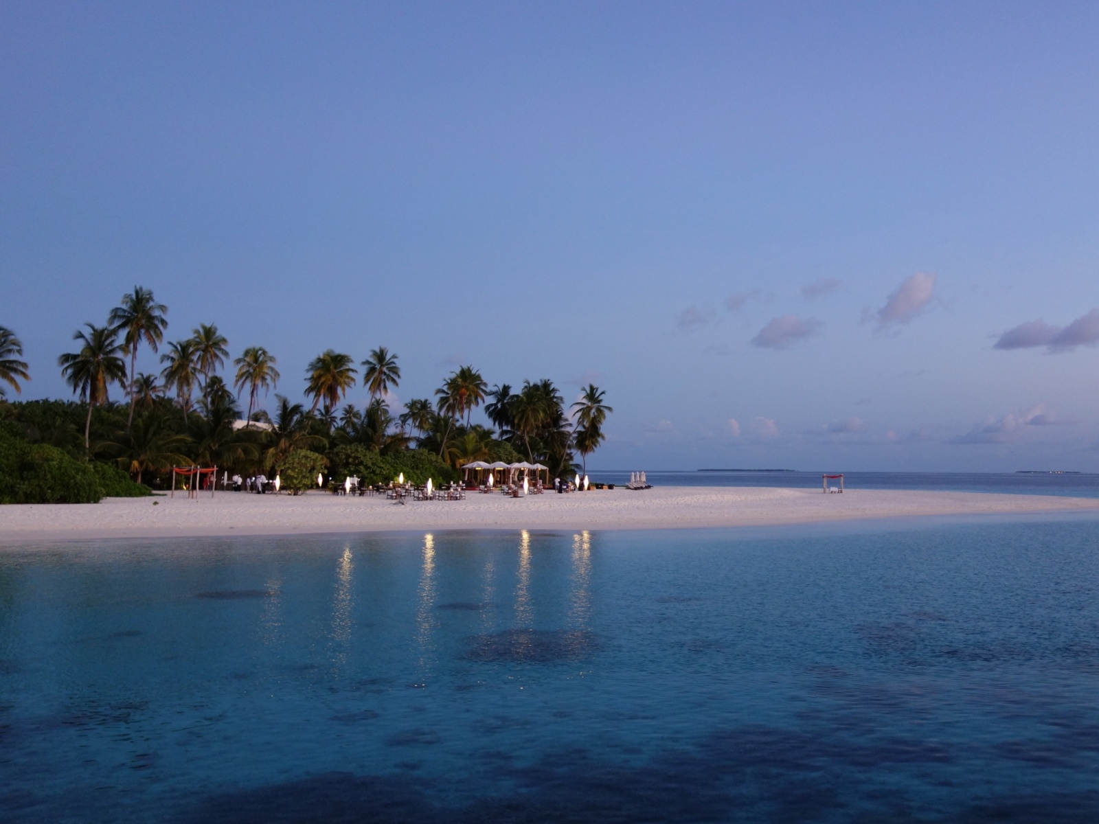 Обои Tropic Tree Hotel Maldives 1600x1200