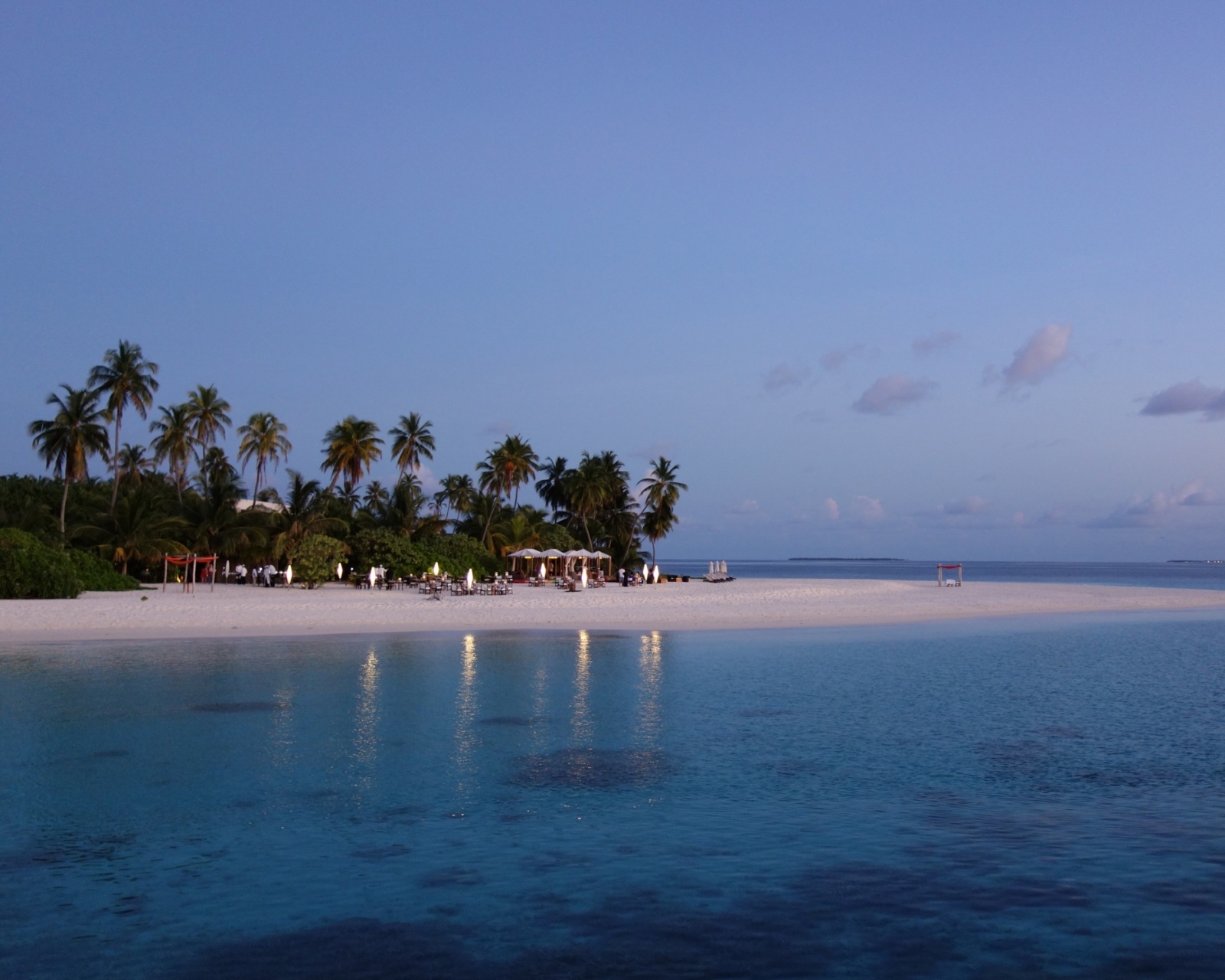 Das Tropic Tree Hotel Maldives Wallpaper 1600x1280