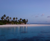 Обои Tropic Tree Hotel Maldives 176x144