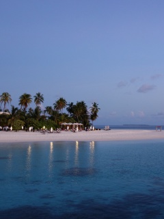 Обои Tropic Tree Hotel Maldives 240x320