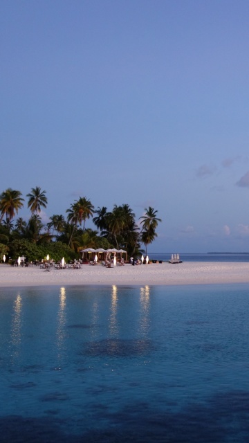 Fondo de pantalla Tropic Tree Hotel Maldives 360x640