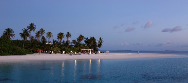 Fondo de pantalla Tropic Tree Hotel Maldives 720x320
