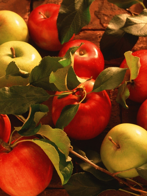 Das Red Apples & Green Apples Wallpaper 480x640