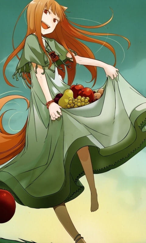 Fondo de pantalla Spice and Wolf 480x800