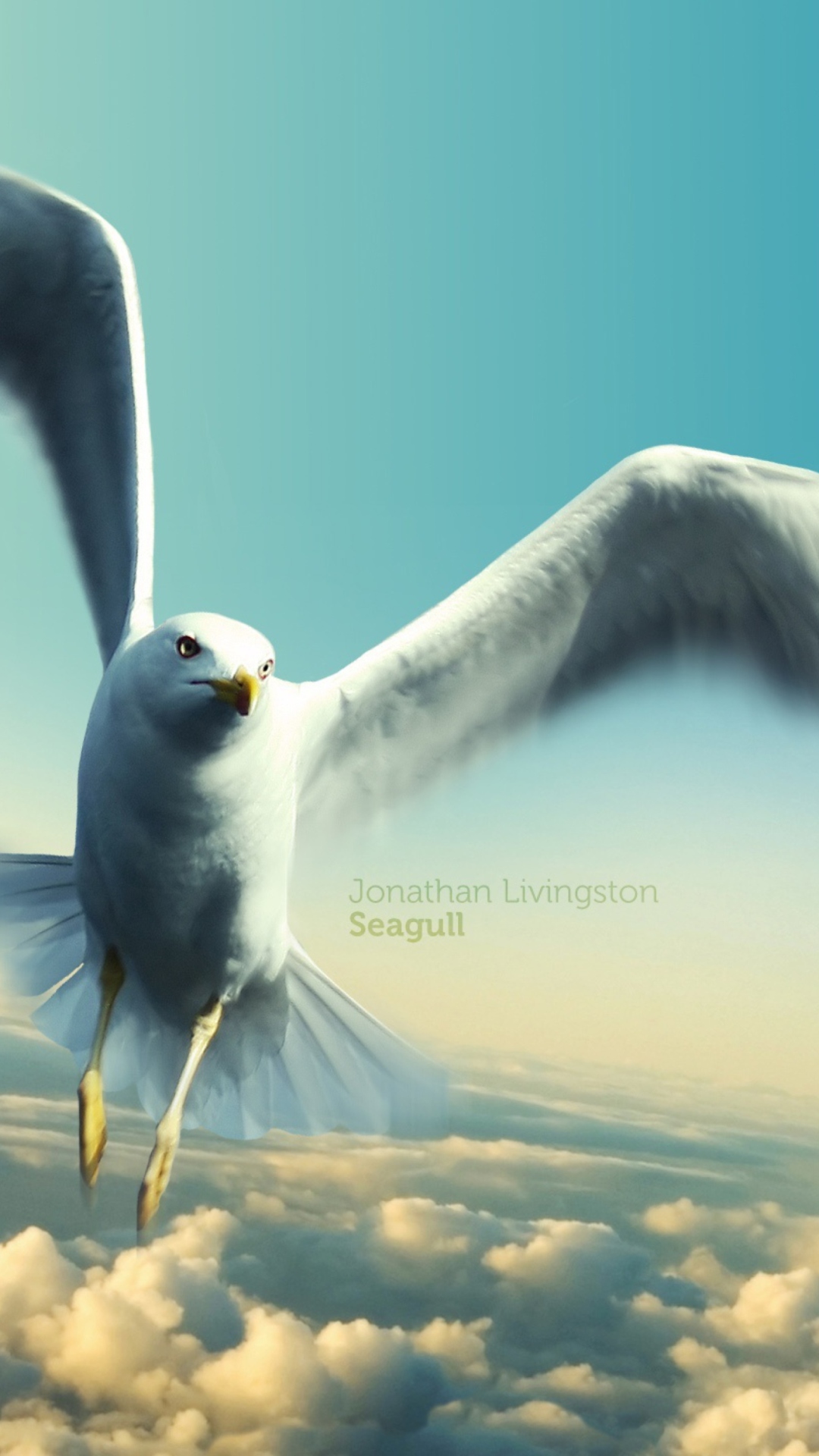 Jonathan Livingston Seagull wallpaper 1080x1920