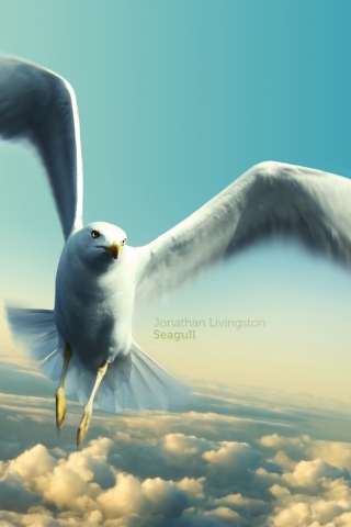 Обои Jonathan Livingston Seagull 320x480